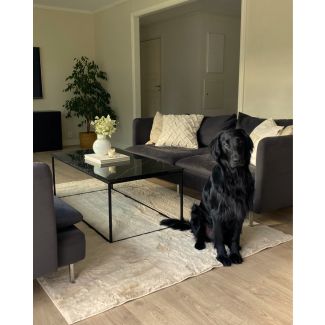 Denna produkten heter Rabbit Eco, tillverkad av Polyester material med en vacker Ljusbeige färg - SE Mattor